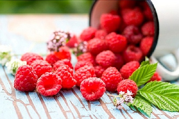 Cách làm son môi bằng quả mâm xôi