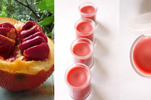 Cách làm son môi nước tại nhà bằng dầu gấc